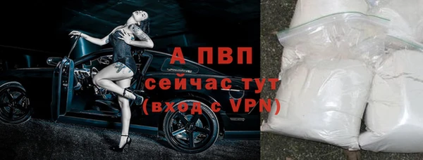 дмт Козельск
