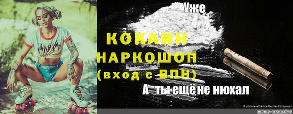 стаф Кинешма
