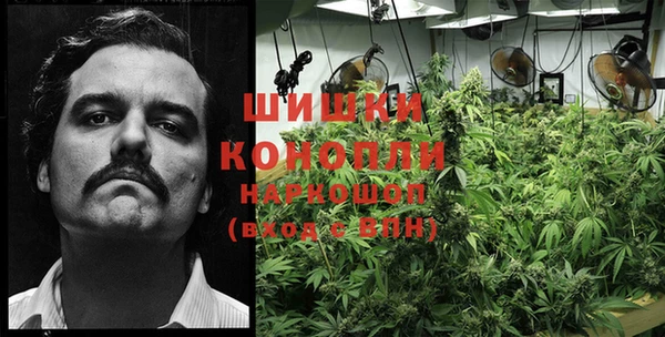 дмт Козельск