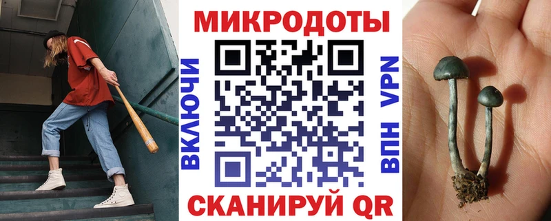 Псилоцибиновые грибы Cubensis  mega ONION  Артём 